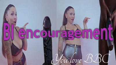 Encourage BI BBC (cod.1613)